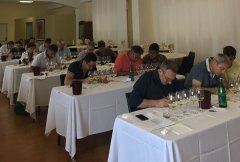 Rating Falanghina