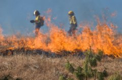 Incendio