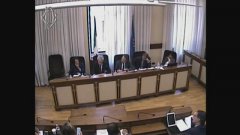 Audizione alla Camera del presidente INPS Stefano Boeri 