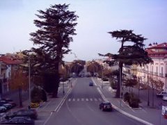 Viale Spinelli - San Giorgio del Sannio