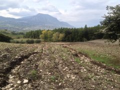 Alluvione campi