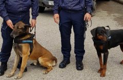 Unita' cinofila della Polizia Penitenziaria