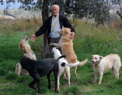  Pasquale Casciello con i suoi cani