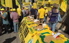 Protesta grano Coldiretti