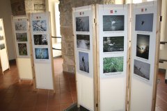 Mostra fotografica Fauna, flora e paesaggi dell'Oasi di protezione Zone Umide Beneventane
