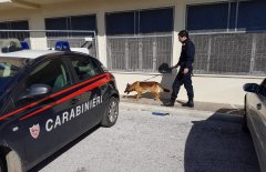 Antidroga Montesarchio 