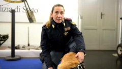 Capodanno, i consigli della polizia cinofila per i botti: Non coccolate i cani