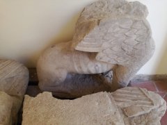 Museo del Sannio - Sfinge
