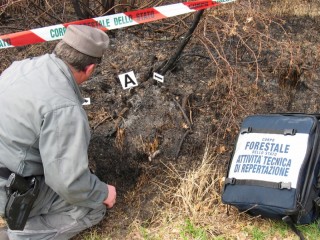 Attività di repertazione della Forestale