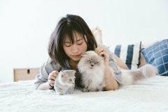 Giornata mondiale del gatto