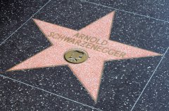 La stella di Arnold Schwarzenegger ad Holliwood